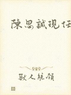 陈思诚现任老婆 陈思诚现任老婆