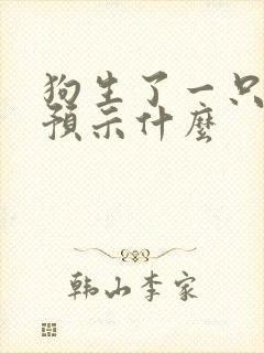狗生了一只小狗预示什么