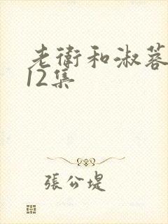 老卫和淑蓉7—12集