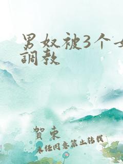男奴被3个女王调教
