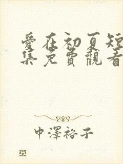 爱在初夏短剧全集免费观看