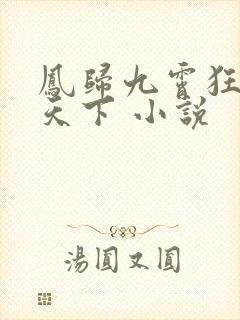 凤归九霄狂妃逆天下 小说 凤归九霄狂妃逆天下 小说