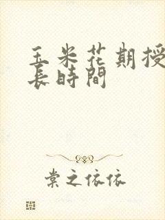 玉米花期授粉多长时间