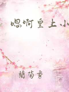 嗯啊皇上小说
