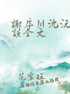 谢序川沈沅珠小说全文