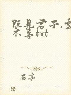 既见君子,云胡不喜txt