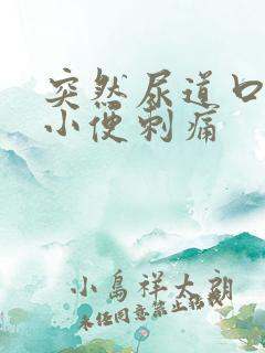 突然尿道口流脓小便刺痛