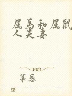 属马和属鼠的名人夫妻