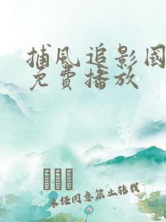 捕风追影国语版免费播放