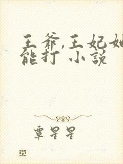 王爷,王妃她很能打 小说