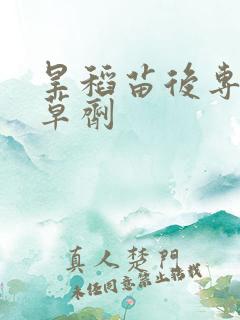 旱稻苗后专用除草剂