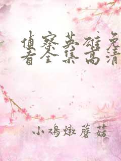 侦察英雄免费观看全集高清