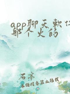 app聊天软件那个火的