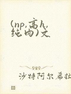 (np,高h,纯肉)文