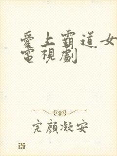 爱上霸道女总裁电视剧