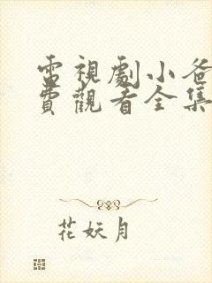 电视剧小爸爸免费观看全集国语版