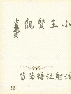 贞观贤王小说免费