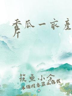 香瓜一亩产多少斤