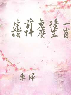虎前兔后一合三指什么生肖