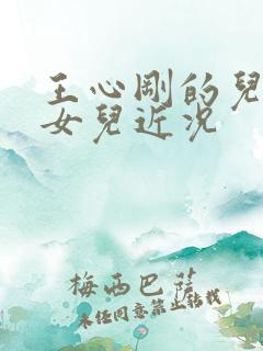王心刚的儿子和女儿近况