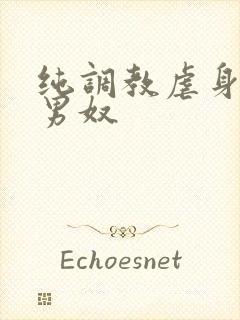 纯调教虐身惩罚男奴