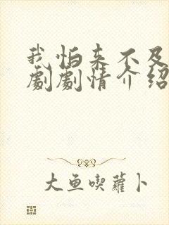 我怕来不及电视剧剧情介绍