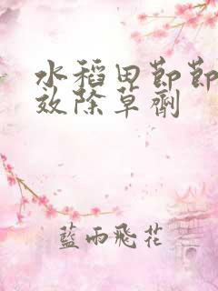 水稻田节节草特效除草剂