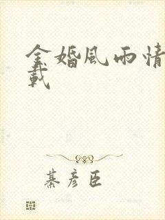 金婚风雨情 下载