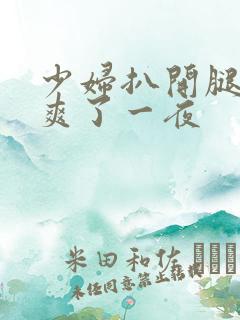 少妇扒开腿让我爽了一夜