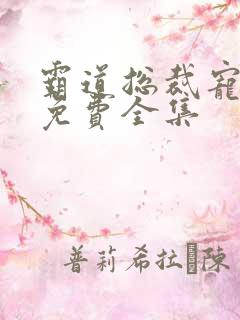 霸道总裁宠上天免费全集