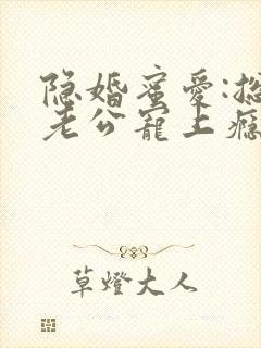 隐婚蜜爱:总裁老公宠上瘾 完本