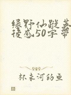 绿野仙踪英语读后感50字带翻译