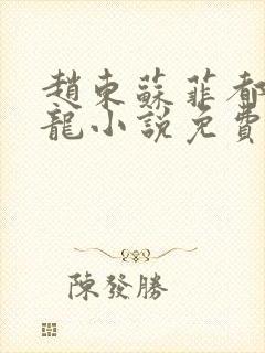 赵东苏菲都市潜龙小说免费阅读