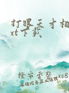 打眼天才相师txt下载