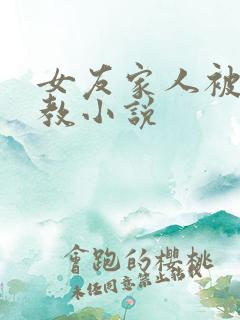 女友家人被我调教小说