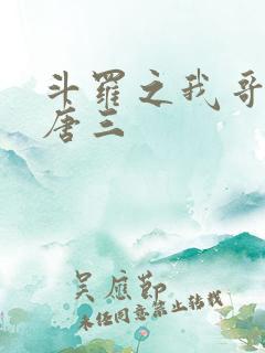 斗罗之我哥哥是唐三