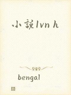 小说1vn h