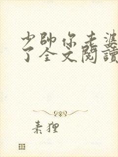 少帅你老婆又跑了全文阅读全文