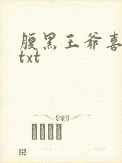 腹黑王爷喜当爹txt
