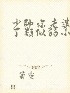 少帅你老婆又跑了类似的小说