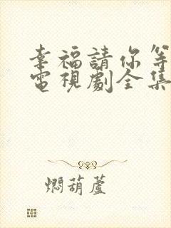 幸福请你等等我电视剧全集免费观看谍战