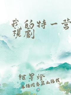我的特一营 电视剧