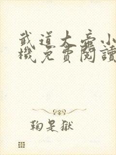 武道大帝小说手机免费阅读全文