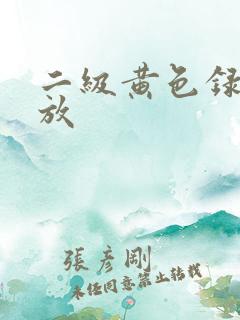 二级黄色录像播放
