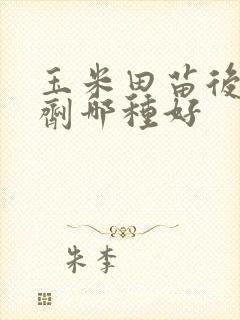 玉米田苗后除草剂哪种好
