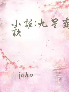 小说:九星霸体诀