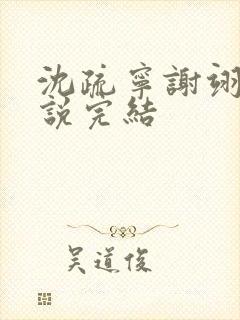 沈疏宁谢翊川小说完结