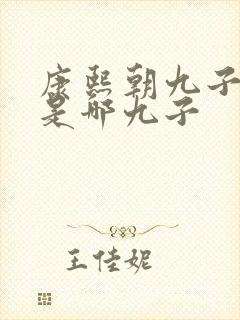 康熙朝九子夺嫡是哪九子
