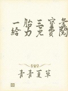 一胎三宝爹地超给力免费阅读全文