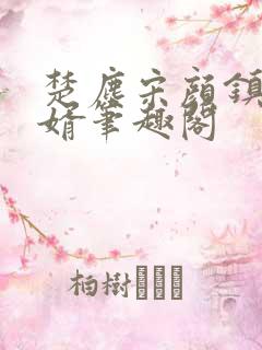 楚尘宋颜镇国神婿笔趣阁
